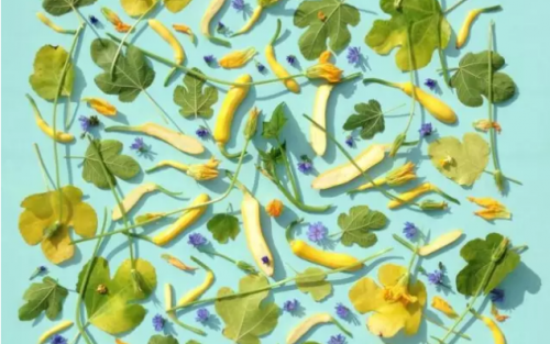 �Ի������� Ӣ�������Ҿ�ͷ�µ��߹���Ȼ��ô��