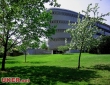 萨里大学 萨里大学