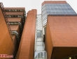 莱切斯特大学 莱切斯特大学