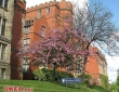 谢菲尔德大学 谢菲尔德大学
